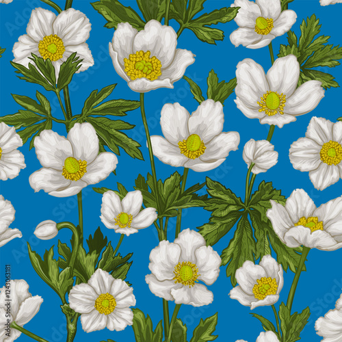 Seamless pattern with hand drawn Anemone flowers. Vector illustration of wildflower for floral textile design. Colored sketch of white flowers on a blue background. Bouquet of Anemone sylvestris