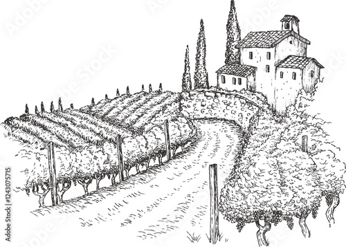 Hand draw vineyard tuscany landscape farm field in monochrome sketch style. Vintage panoramic vector illustration.