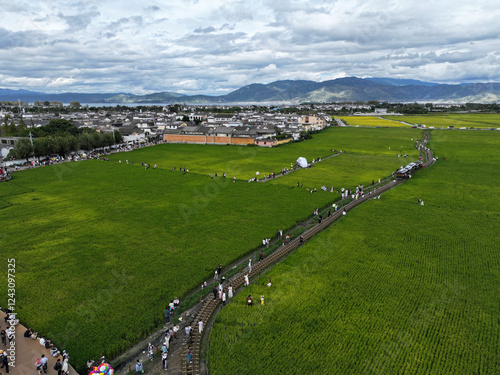 green field in Dali,Yunnan