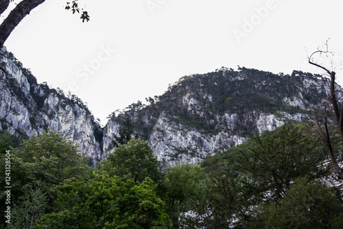 Canvas Print yosemite national park california
