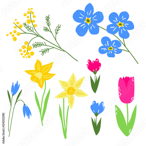 Spring first blooming in a garden flower, pink tulip, crocus, yellow mimosa, daffodil, dandelion, royal blue myosotis. Hand drawn set of floral illustrations, good for print, poster, card or banner.
