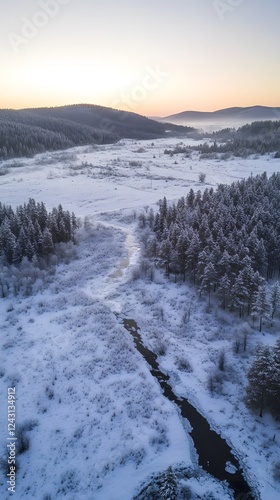 A serene winter landscape in the Scandinavian region, with snow-covered fields and forests
