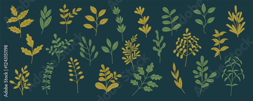 Set of leaves and botanical elements on dark background. Hand drawn botanical collection of plants. Nature, spring, summer, Ester, decoration concept.