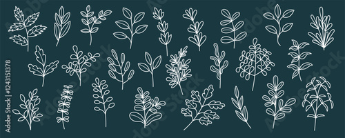 Set of leaves and botanical elements outline on dark background. Hand drawn botanical collection of plants. Nature, spring, summer, Ester, decoration concept.