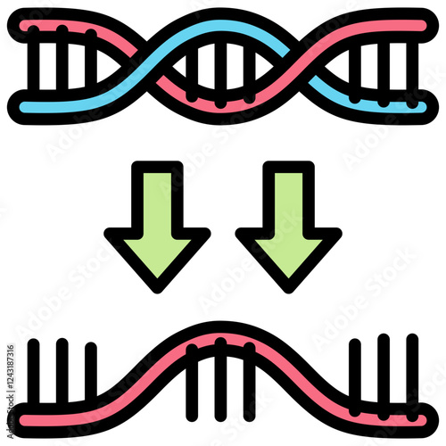 Transcription Outline Color Icon