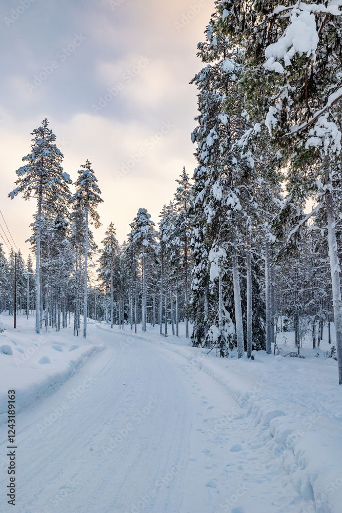 snow covered road in the forest