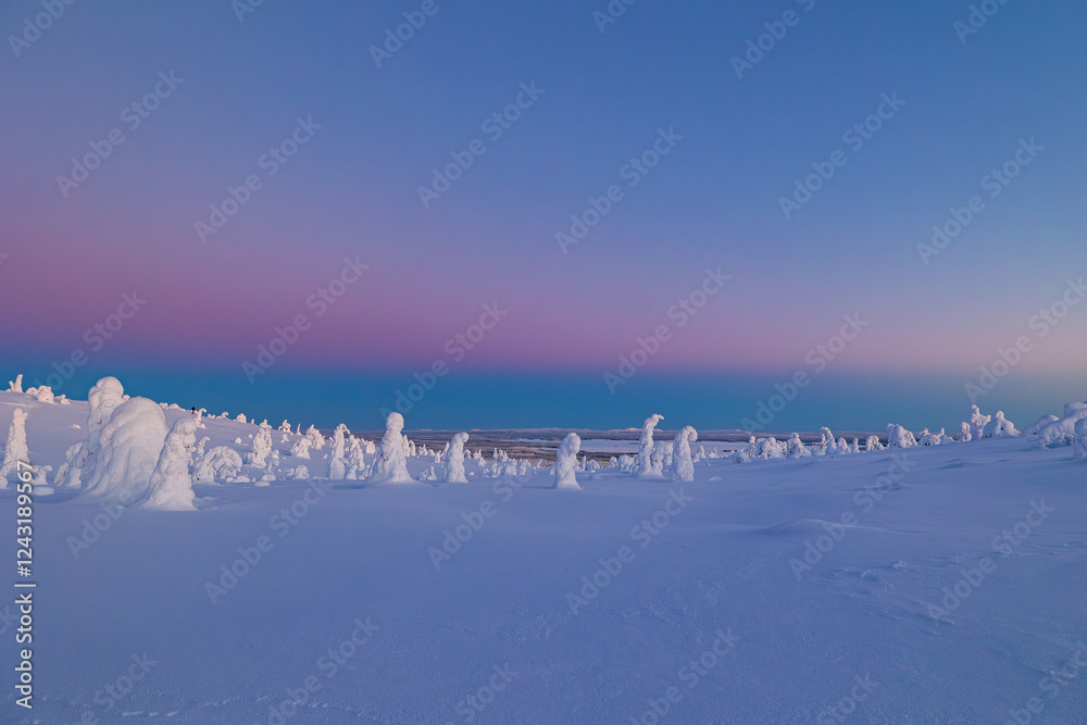 winter landscape with snow