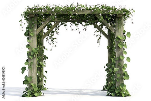 3D Style Garden Trellis with Climbing Vines Isolated. photo