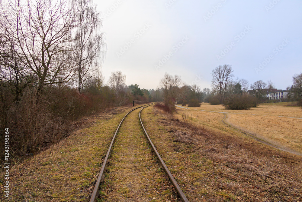 Abandoned Railway Tracks in a Rural Landscape with Bare Trees Abandoned Railway Tracks in a Rural Landscape with Bare Trees