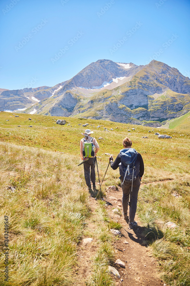 Fototapeta premium The Caucasian Biosphere Reserve. Tourism and outdoor recreation. A group of tourists goes hiking