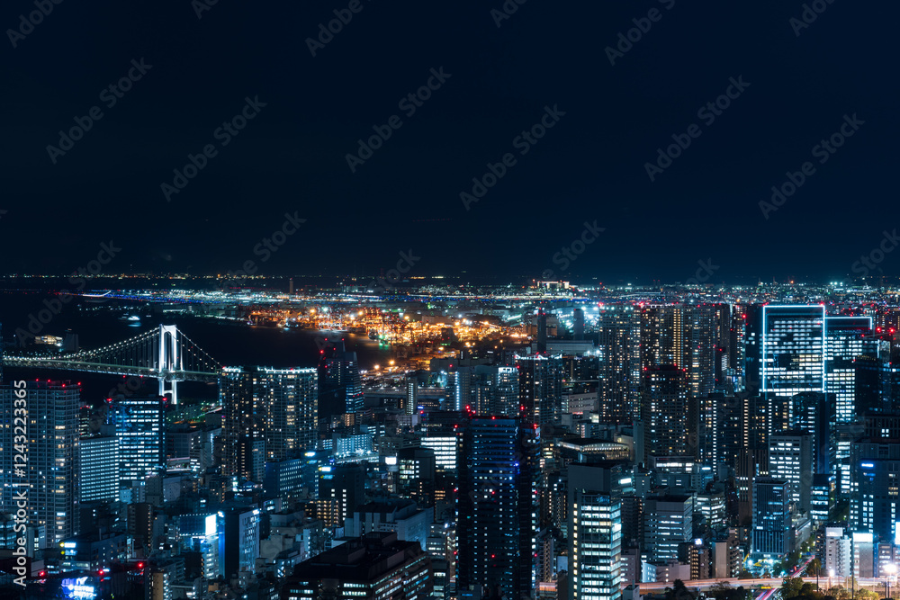 Tokyo cityscape at magic hour.