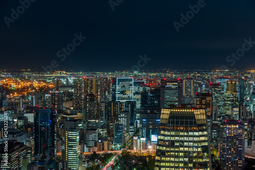 Obraz na płótnie Tokyo cityscape at magic hour. w salonie