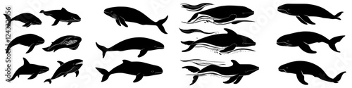 Various silhouettes of dolphins and whales in motion captured in an artistic design