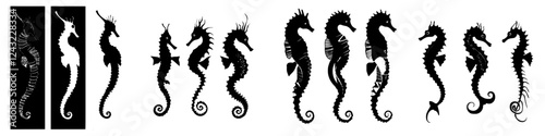 Unique artistic representations of seahorses in black silhouette against a light background