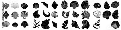 Collection of various sea shells displayed in black and white, highlighting intricate designs and shapes