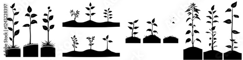 Silhouette of various plants and seedlings growing in diverse stages of development in a garden setting