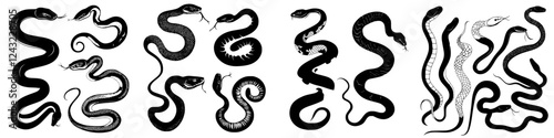 Collection of intricate black and white snake illustrations showcasing diverse styles and postures in artistic design