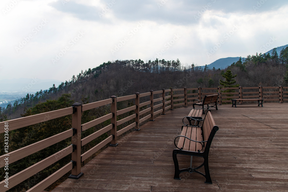 wooden observatory and bench