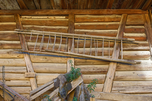 Vászonkép Strange ladder-like homemade object hanging on the wooden wall.