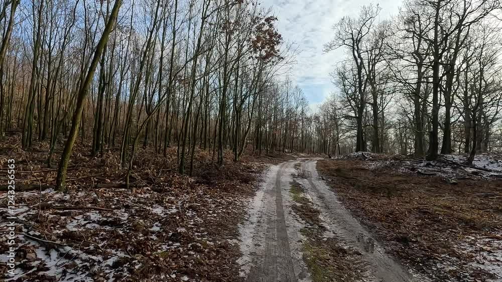 Peaceful walk through a winter forest. Leafless trees stand tall, while a light layer of snow covers the ground, creating a serene and quiet atmosphere. Peaceful walk through a winter forest. Leafless trees stand tall, while a light layer of snow covers the ground, creating a serene and quiet atmosphere.