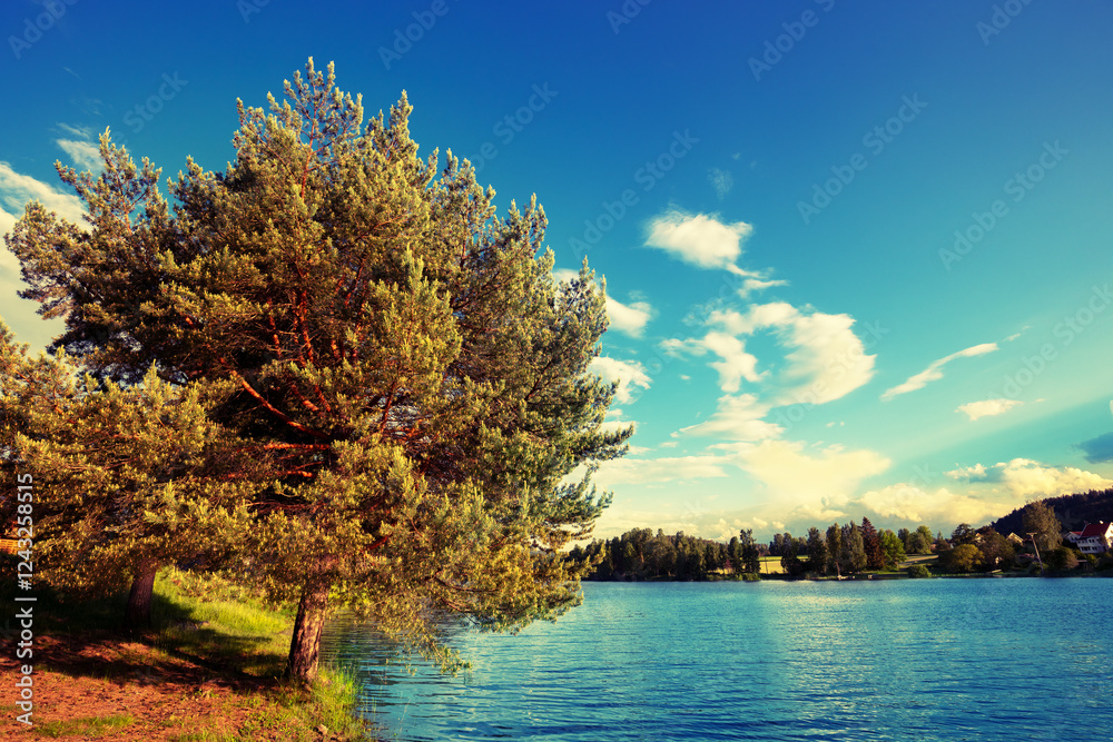Lakeshore on a sunny day in autumn. View of Mjosa lake near Tangen. Beautiful nature of Norway, Europe