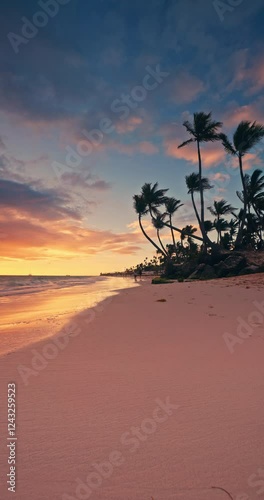 tropical island beach shore with palm trees, color ocean coast sunrise and waves on the sand vertical seascape