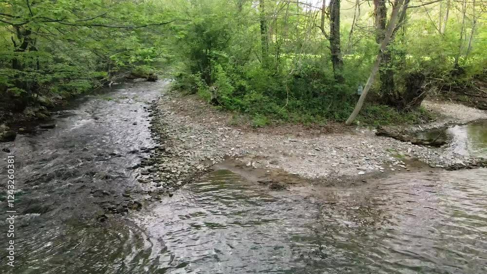 Serene river flowing through lush forest in springtime Serene river flowing through lush forest in springtime