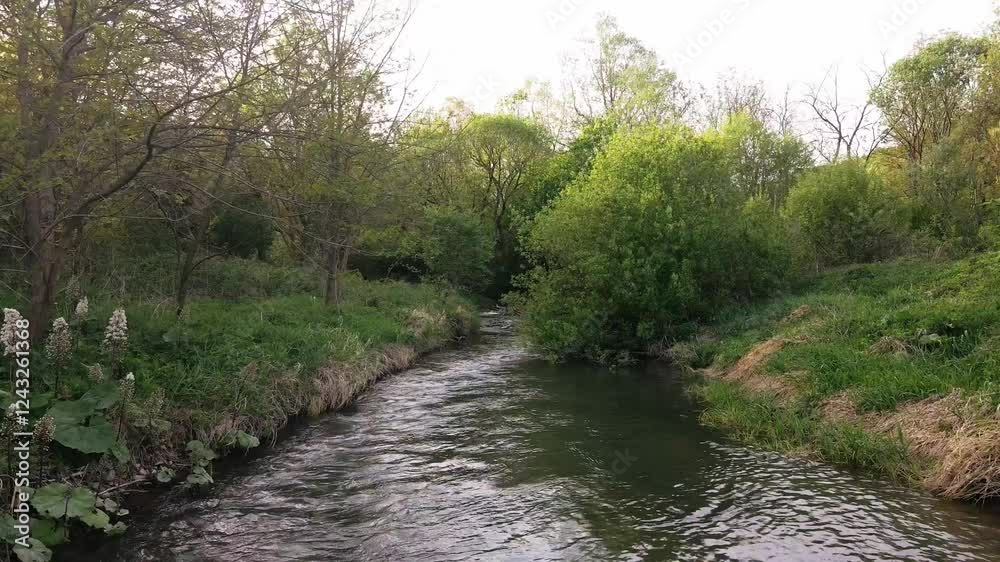Journey through a tranquil river surrounded by lush greenery in a serene landscape during late afternoon Journey through a tranquil river surrounded by lush greenery in a serene landscape during late afternoon