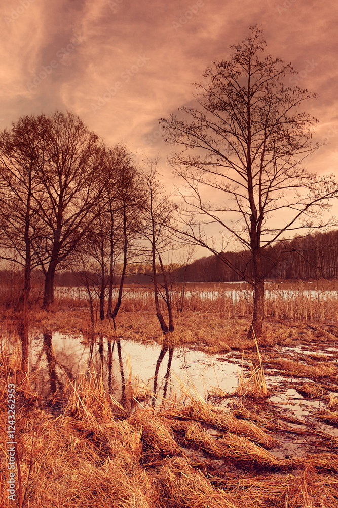 Flooded brook in early spring in trendy mocha mousse color. Vertical photo