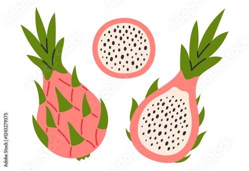 Pink dragon fruits set. Tropical fruits. Half and whole exotic pitahaya fruit. Collection of organic vitamins and healthy nutrition. Flat Vector illustration isolated on white background