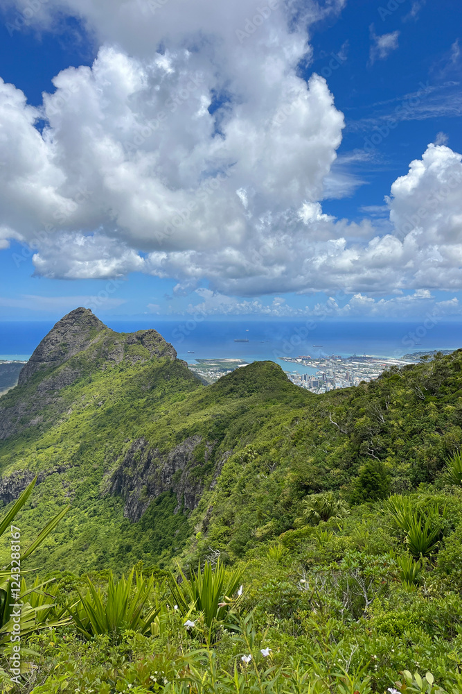Obraz premium Aerial view of Mauritius island from the top of the mountain, Africa 