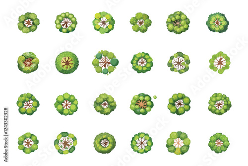 Set of Top view green tree for outdoor plan or map and architecture drawing, elements for environment and garden ,botanical elements.