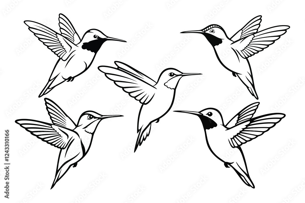 Fototapeta premium Hummingbird silhouette vector graphic bundle clipart.