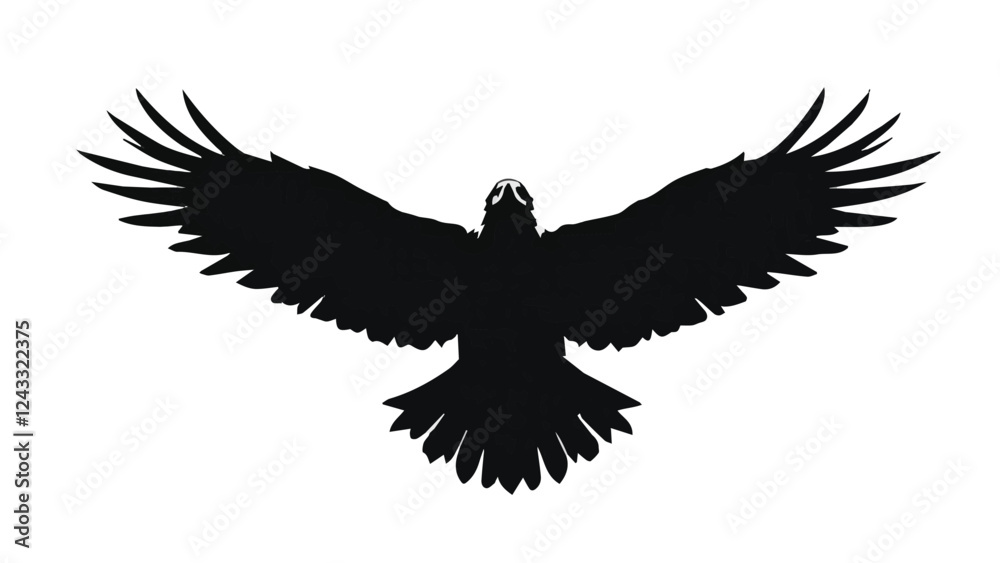 Obraz premium eagle in flight