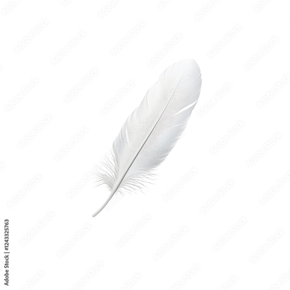 White feather on a white isolated background. White feather on a white isolated background.