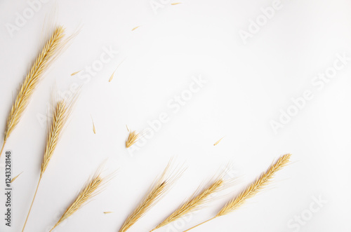 Autumn composition. Frame. Wheat ears on white background. Autumn, fall, thanksgiving day concept. Flat lay, top view.