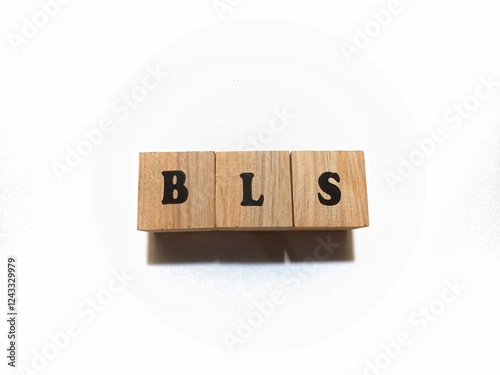 Bureau of Labor Statistics, BLS on letter blocks photo