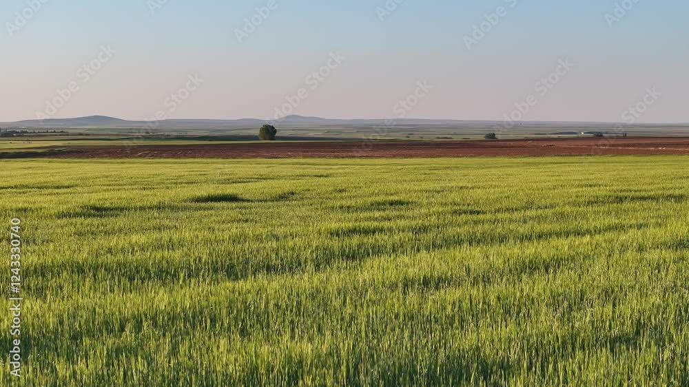 countryside landscape FARM LAND agriculture countryside landscape FARM LAND agriculture