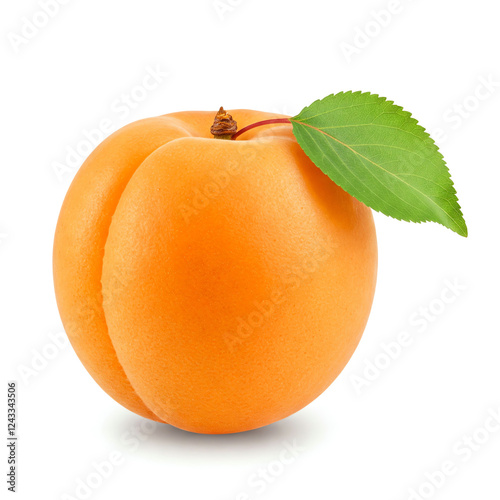 ripe apricots with leaves on white background