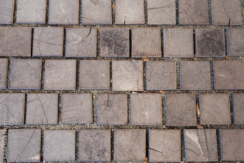 Footpath paved with square wooden logs of transverse cut