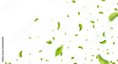 Green leaves banner. Wave foliage ornament. Vegan, eco, organic design element. Leaf falling. Cosmetic pattern frame. Fresh tea flying background. Beauty product border. Vector illustration