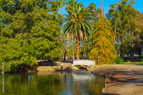 Bridge and palm trees at Lake Evans in Fairmount Park, Riverside photo