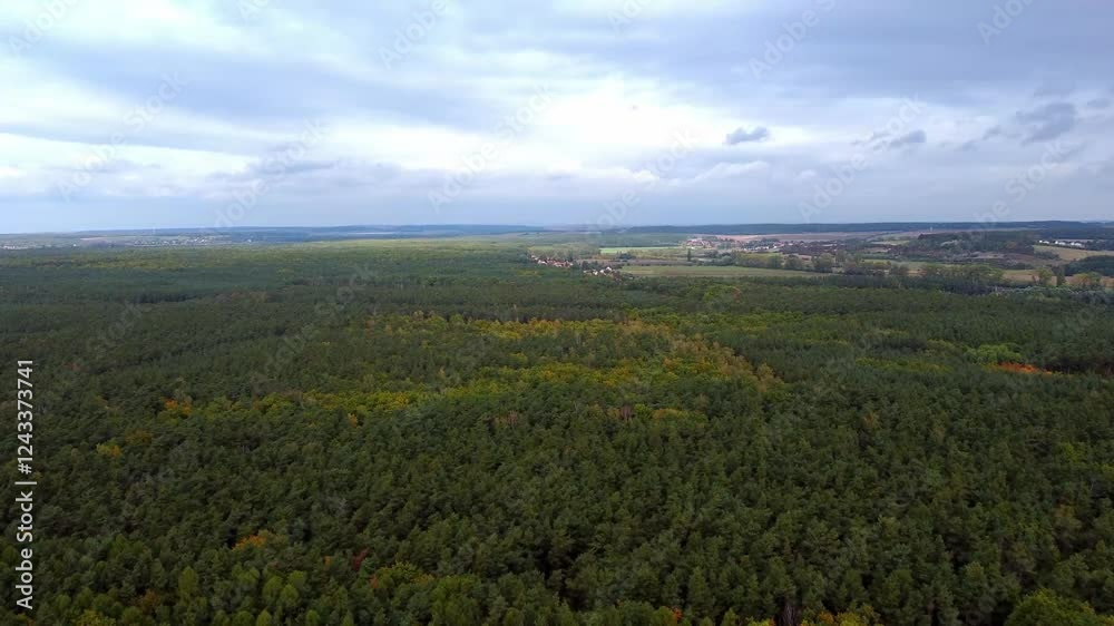 Drone video of a vast forest with trees in vibrant, multicolored foliage. A breathtaking aerial view capturing the natural beauty and seasonal palette from above. Drone video of a vast forest with trees in vibrant, multicolored foliage. A breathtaking aerial view capturing the natural beauty and seasonal palette from above.