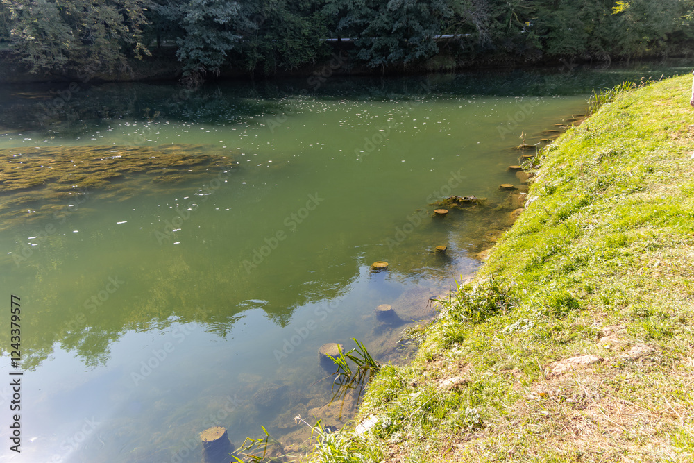 View of Krka river on the shore in Dolenjska, Slovenia. View of Krka river on the shore in Dolenjska, Slovenia.