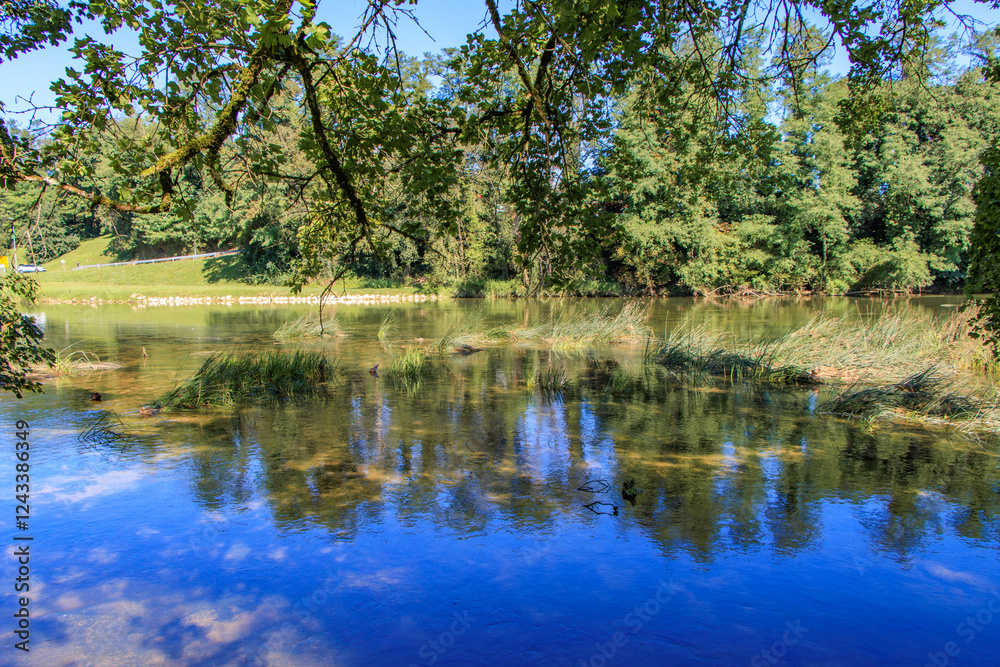 Fototapeta premium View of Krka river on the shore in Dolenjska, Slovenia.