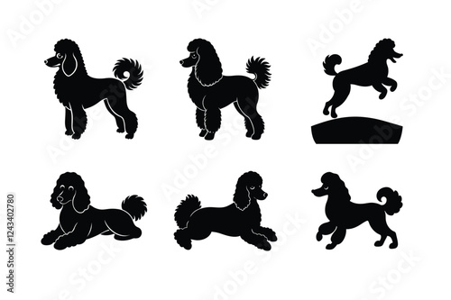 Poodle dog silhouette set isolated on white vector