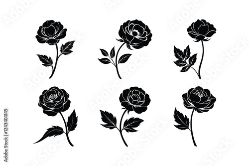 Bild auf Leinwand Buttercup (Ranunculus spp.) silhouette vector illustration