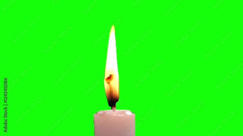 Candle Flame with Candle on Green Screen. white candle burns on green screen. Free Chroma Key Footage. Burning candle animation on green screen. Candle Flame on green screen background. Candle Flame with Candle on Green Screen. white candle burns on green screen. Free Chroma Key Footage. Burning candle animation on green screen. Candle Flame on green screen background.