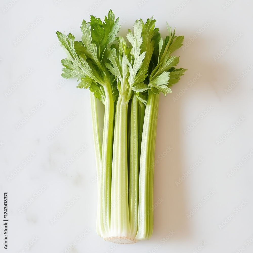 Fresh celery stalk with crisp green ribs and a tender white base on a clean white surface for culinary preparation or nutrition focus Fresh celery stalk with crisp green ribs and a tender white base on a clean white surface for culinary preparation or nutrition focus