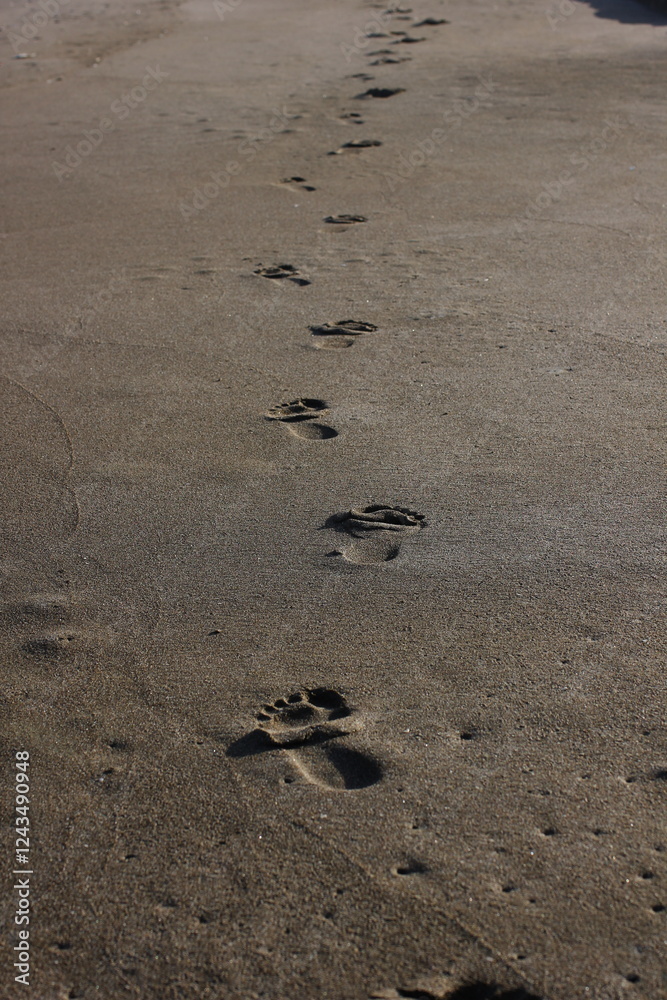Obraz premium a chain of footprints in the desert sands